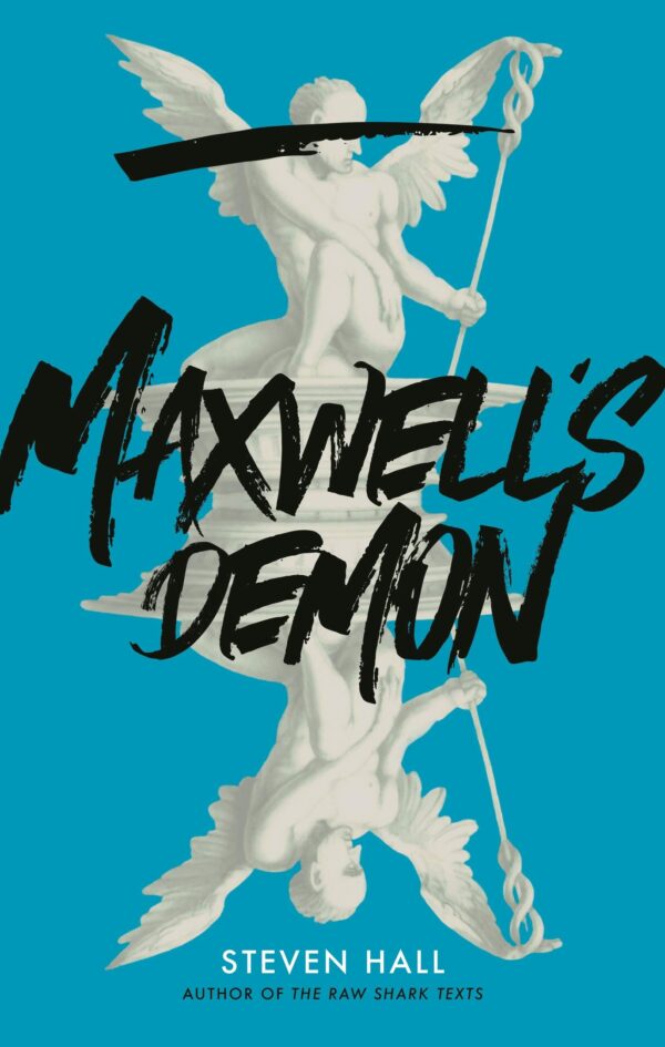 MAXWELL'S DEMON